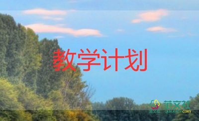 九年級仁愛教學(xué)計劃8篇