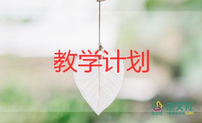 2024年小學(xué)數(shù)學(xué)教師教學(xué)計(jì)劃8篇