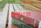 山字教學(xué)設(shè)計(jì)教案8篇