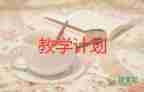 尾巴有只貓教學反思6篇