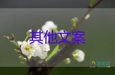微信今日可發(fā)520紅包，關于微信的作文