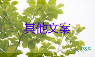 支持穩(wěn)住經(jīng)濟大盤，中國經(jīng)濟發(fā)展作文