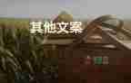 2022屆考生可參考：高考“3+1+2”模式如何選？
