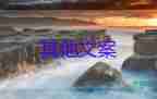 上海即將開放堂食，忙起來真好，疫情終會過去的暖心句子