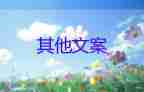唐山雷霆風(fēng)暴，開展掃黑除惡專項整治工作總結(jié)3篇