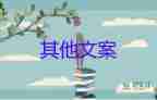 防中暑安全總結(jié)