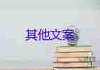 上海新增本土確診3084+17332例，關(guān)于疫情防控心得體會(huì)