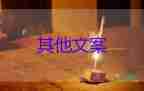 東航回應客機高空飛行時艙內飛出小鳥，空乘服務實習心得體會