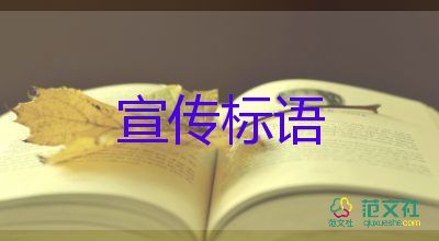 消防人員讓被困人員踩在自己肩膀上離開，消防工作總結(jié)3篇