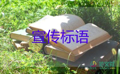 20235年最新保護動物宣傳標(biāo)語精選5篇