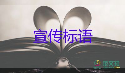 貨車司機(jī)的網(wǎng)紅餐食備受關(guān)注
