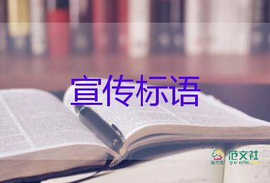 為什么幾年前審的教材現(xiàn)在出問題？插畫課程心得體會3篇