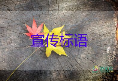 精選關于網(wǎng)絡安全宣傳標語最新40句