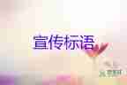 高考：考試前不要嘗試沒吃過的食物，高考工作計劃3篇