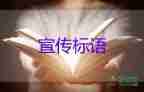 官方已立案調(diào)查女子發(fā)朋友圈羨慕工資按時發(fā)被開除事件，正能量的工作心得體會2篇