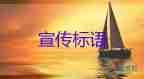 4月24日31省份新增本土確診2666+17528例，疫情期間的暖心句子