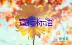 部作出回應(yīng)：中小學(xué)將全面開啟“線上教學(xué)”？