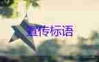 局回應(yīng)煙臺(tái)部分的教師集體反對(duì)降薪，局工作總結(jié)3篇