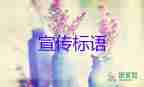 誠(chéng)信宣傳標(biāo)語(yǔ)5篇