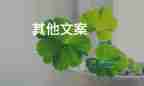 劉洋駐天和核心艙后刷起了手機，探索太空作文3篇
