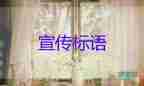 東航回應：核酸報告過期3分鐘被拒登機信息不屬實，核酸采集人員工作總結2篇