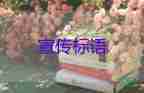 愛護水資源宣傳標(biāo)語5篇