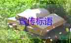 20235年最新保護(hù)動物宣傳標(biāo)語精選5篇