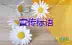 保險(xiǎn)公司表示：拒絕賠付 理由竟是因上海無(wú)中高風(fēng)險(xiǎn)區(qū)，保險(xiǎn)公司工作總結(jié)3篇