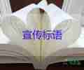 廣東的兩所985大學(xué)校長(zhǎng)為同一人，學(xué)校校長(zhǎng)工作總結(jié)3篇