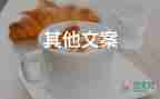 浙江楊梅在迪拜被賣到60元一顆，水果銷售個人工作總結3篇