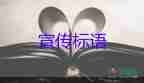 貨車司機(jī)的網(wǎng)紅餐食備受關(guān)注