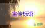 安全文化口號標語6篇