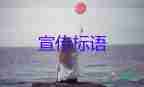 2025有關(guān)保護地球宣傳標語優(yōu)選模板5篇
