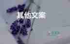 幼師崗門(mén)檻升級(jí)，不再招聘大專(zhuān)生？部文件回應(yīng)