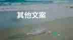大學(xué)生招聘會心得7篇