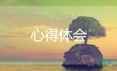 關(guān)于做家務(wù)的心得體會8篇