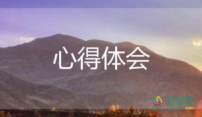 暴力心得模板7篇