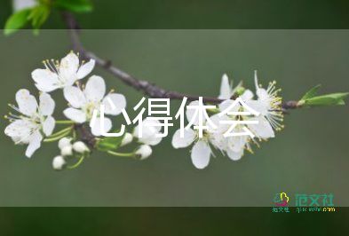 實(shí)踐周心得體會(huì)500字5篇
