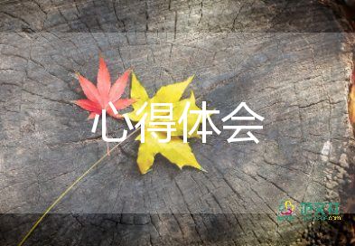 好教師的標(biāo)準(zhǔn)心得體會(huì)通用6篇