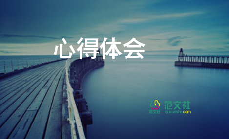 假期實踐活動心得體會800字6篇