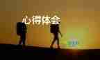 道德與法治培訓心得體會總結(jié)小學5篇