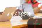 網(wǎng)絡(luò)安全心得體會(huì)500字7篇