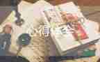 學(xué)習(xí)《指南》的心得體會推薦7篇