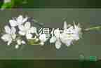 招聘會體會心得推薦5篇