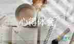 最新2022精細(xì)化管理心得體會(huì)優(yōu)秀示例熱門6篇