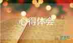 實用關(guān)于女排精神心得體會參考范文4篇