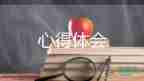 安全后心得體會(huì)500字7篇