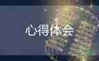 支教島心得體會模板8篇