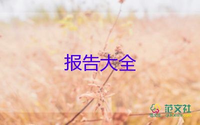 電子商務(wù)工作報告5篇