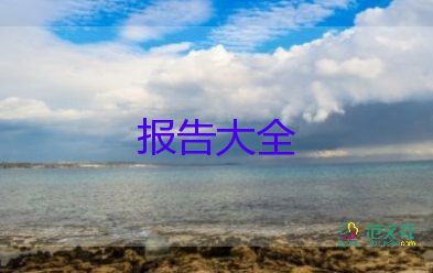 人會計專業(yè)工作報告6篇